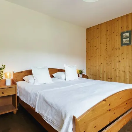 Auroch - - Cheminee - Parking - Vue - Calme Verbier