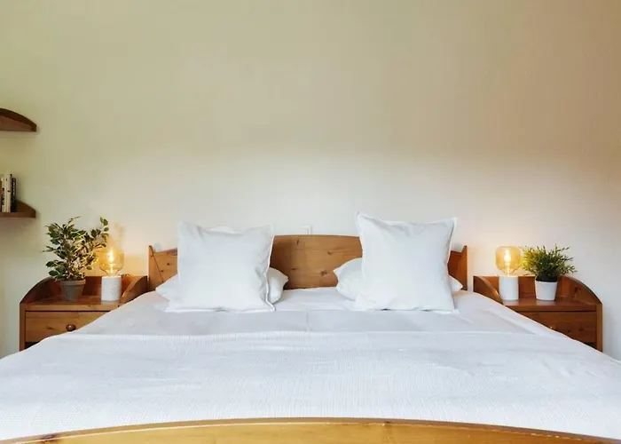 Auroch - - Cheminee - Parking - Vue - Calme 韦尔比耶