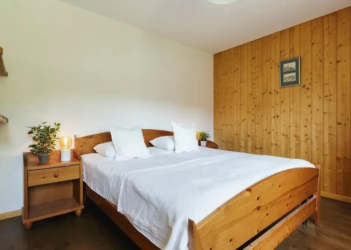 Auroch - - Cheminee - Parking - Vue - Calme 韦尔比耶