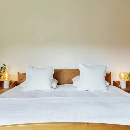 Auroch - - Cheminee - Parking - Vue - Calme Verbier